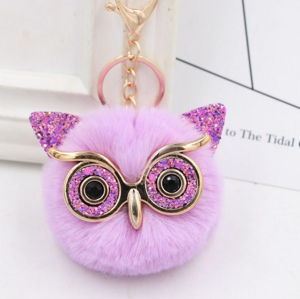 NWOT Adorable Owl Keychain